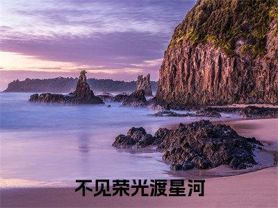 不见荣光渡星河小说全文免费阅读（苏静怡顾烨城）全文免费阅读无弹窗大结局