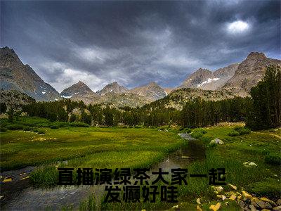 许寐儿沈域（直播演绿茶大家一起发癫好哇）全文免费阅读_直播演绿茶大家一起发癫好哇最新章节小说免费阅读_笔趣阁许寐儿沈域