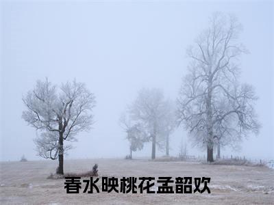 孟韶欢全文免费阅读无弹窗大结局_春水映桃花孟韶欢章节列表_笔趣阁