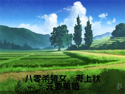 陆长英秦宁八零杀猪女，考上状元要离婚全文免费完整版，陆长英秦宁最新章节完整版阅读