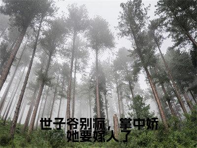 顾玄祁安宁小说在线阅读-世子爷别疯，掌中娇她要嫁人了小说最新章节阅读