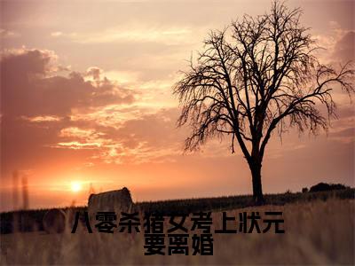 八零杀猪女考上状元要离婚全文免费阅读无弹窗大结局_（陆长英秦宁）八零杀猪女考上状元要离婚全文免费无弹窗最新章节列表_笔趣阁