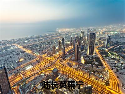 陆长英秦宁（陆长英秦宁）全文无弹窗大结局_陆长英秦宁小说最新章节列表