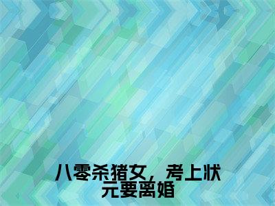 八零杀猪女，考上状元要离婚（陆长英秦宁小说全文）在线阅读无弹窗大结局-八零杀猪女，考上状元要离婚全文无删减版阅读