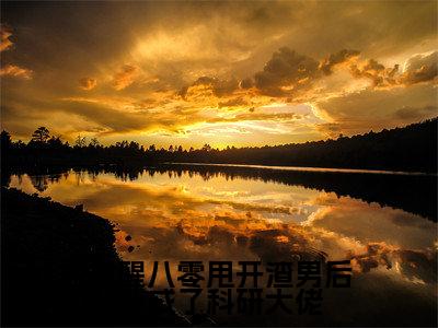 觉醒八零甩开渣男后我成了科研大佬（林尽染全章节完整版）免费阅读-觉醒八零甩开渣男后我成了科研大佬全文无删减阅读