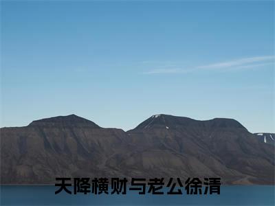 徐清长篇免费小说，天降横财与老公徐清最新章节在线阅读