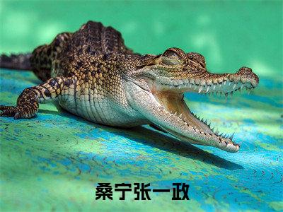 张一政桑宁小说大结局全文免费阅读-抖音小说桑宁张一政