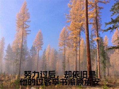 努力过后,却依旧是他的过客李书渝顾承安全网首发最新小说-李书渝顾承安全文在线免费阅读