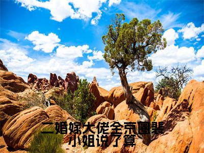 霍霆熙裴染(二婚嫁大佬全京圈裴小姐说了算)免费小说完整版阅读-(霍霆熙裴染)最新章节在线阅读
