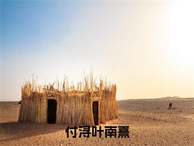 付浔叶南熹（付浔叶南熹）全文免费阅读无弹窗大结局_付浔叶南熹最新章节列表_笔趣阁（付浔叶南熹）