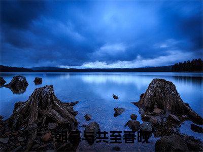 （热推新书）朝暮与共至春晚全文免费阅读无弹窗大结局-热推顾知惟苏雨眠无弹窗阅读朝暮与共至春晚在线阅读