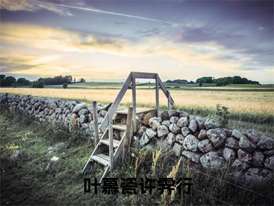 叶慕瓷许霁行(叶慕瓷许霁行)全文免费阅读-(叶慕瓷许霁行小说)叶慕瓷许霁行最新章节列表