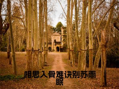 相思入骨难诀别苏雨眠小说(龚季泽苏雨眠)全文免费阅读无弹窗大结局_龚季泽苏雨眠最新章节列表(龚季泽苏雨眠)