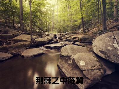荆棘之中陈冀小说(白希陈冀)全文免费阅读-荆棘之中陈冀全文阅读无弹窗