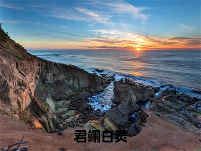 (番外)+(全文)君翊白灵(白灵君翊)精彩小说-小说白灵君翊全文无删减版免费阅读