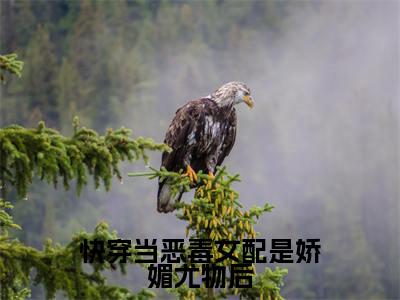 快穿当恶毒女配是娇媚尤物后小说(叶皎月)免费阅读全文无弹窗大结局_叶皎月免费阅读无弹窗小说_小说笔趣阁