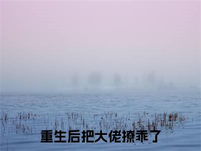 重生后把大佬撩乖了（墨北辰乔望舒）全文免费阅读无弹窗大结局_（重生后把大佬撩乖了）免费阅读无弹窗最新章节列表