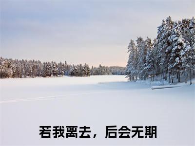 若我离去,后会无期全文最新章节(秦夏白)全文免费阅读无弹窗大结局_秦夏白免费阅读
