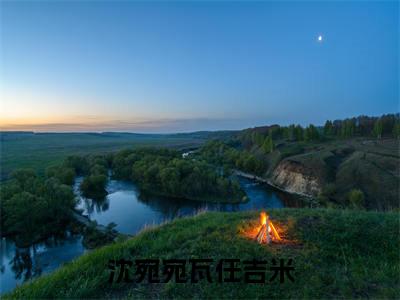 沈宛宛瓦任吉米(瓦任吉米沈宛宛)全文免费阅读无弹窗大结局_(瓦任吉米沈宛宛)瓦任吉米沈宛宛最新章节列表