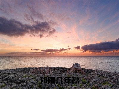 知隔几年秋小说全文免费阅读正版苏晴柔徐闻知免费阅读无弹窗