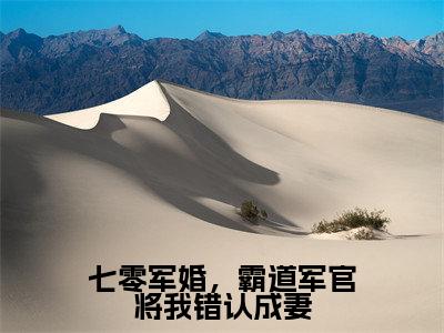 七零军婚，霸道军官将我错认成妻（叶叶姚程）全文在线阅读无弹窗_七零军婚，霸道军官将我错认成妻小说全文大结局