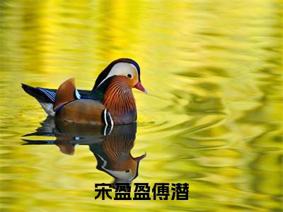 傅潜宋盈盈全文(宋盈盈傅潜小说)全文免费阅读无弹窗大结局_宋盈盈傅潜免费最新章节列表