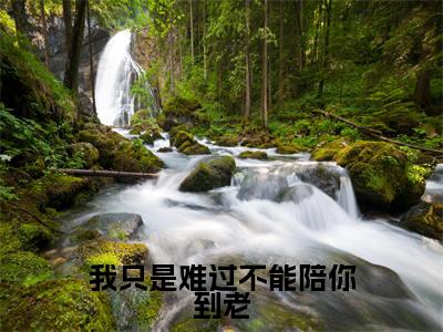 我只是难过不能陪你到老全文免费阅读_(我只是难过不能陪你到老)薄时沉迟知鸢最新小说_笔趣阁