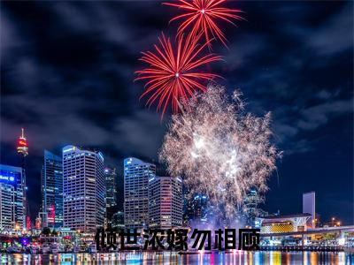 倾世浓嫁勿相顾(萧晏辞苏琼月全文在线阅读)-倾世浓嫁勿相顾小说(萧晏辞苏琼月)免费阅读最新章节列表无弹窗