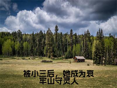被小三后，她成为哀牢山守灵人小说（霍云青辛珑）精彩章节-霍云青辛珑全文免费在线阅读