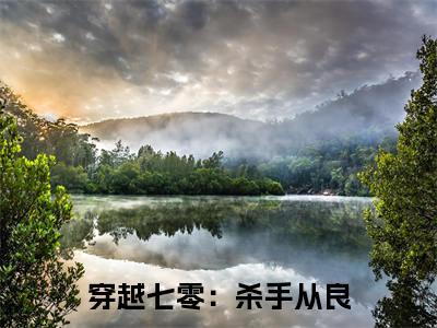 (穿越七零:杀手从良抖音小说)傅尧庭无痕小说全文阅读免费