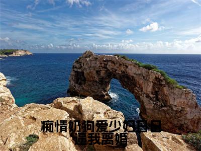 痴情奶狗爱少妇日日逼我离婚小说全文免费阅读正版顾北辰顾姚免费阅读无弹窗