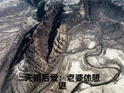 （陆景深）是什么小说-先婚后爱：老婆休想逃全文免费阅读无弹窗大结局（陆景深）最新章节列表