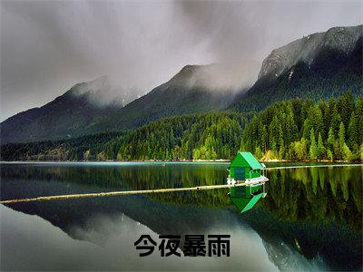 （今夜暴雨）岑姿陆时肆小说小说全文免费岑姿陆时肆读最新章节列表笔趣阁（今夜暴雨）