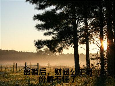 主角为宋知希傅瑾轩的小说-离婚后，财阀公主身份藏不住了（宋知希傅瑾轩）全文完整版阅读