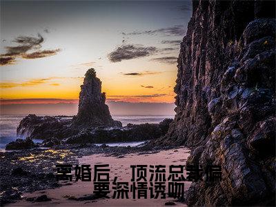 顾延霆沈意小说大结局全文免费阅读-抖音小说离婚后,顶流总裁偏要深情诱吻