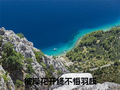 《羽桉》彼岸花开终不悔羽桉（热推新书）-抖音热推彼岸花开终不悔羽桉无弹窗阅读