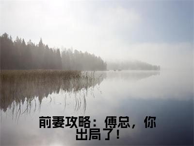 前妻攻略:傅总,你出局了!(桑旎傅宵寒)小说全文免费阅读无弹窗大结局_前妻攻略:傅总,你出局了!全文在线阅读无弹窗