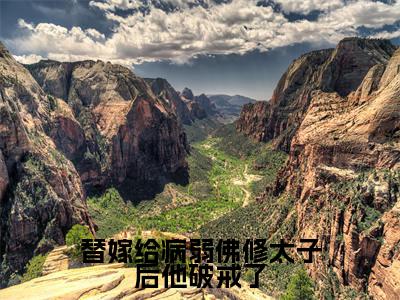 容司璟姜南枝(替嫁给病弱佛修太子后他破戒了)全文免费阅读无弹窗大结局_(替嫁给病弱佛修太子后他破戒了无弹窗)最新章节免费阅读_笔趣阁
