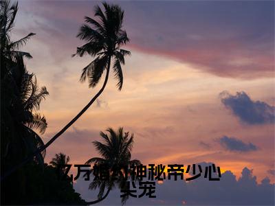 方可晴(亿万婚约神秘帝少心尖宠)免费全文阅读小说_(方可晴)亿万婚约神秘帝少心尖宠最新章节列表