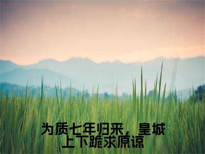 为质七年归来,皇城上下跪求原谅全文免费阅读大结局-(晏九黎轩辕墨)最新章节列表在线阅读