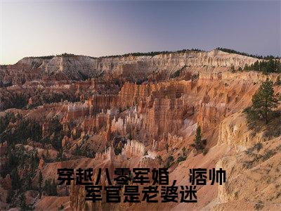 陆沉秦昭昭(穿越八零军婚,痞帅军官是老婆迷)最火言情小说免费观看-小说穿越八零军婚,痞帅军官是老婆迷(陆沉秦昭昭)今日已更新最新章节
