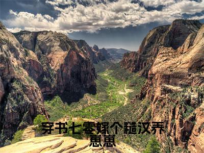 【新书】《穿书七零嫁个糙汉养崽崽》全文免费阅读无弹窗大结局-沈成义苏月华全章节免费阅读