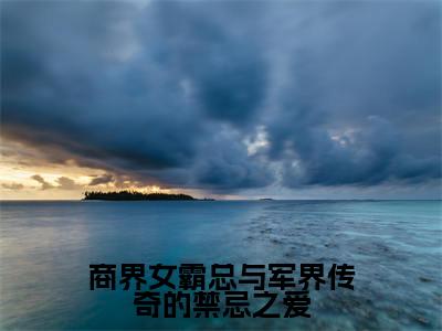 商界女霸总与军界传奇的禁忌之爱(江美仪许言琛)小说免费无弹窗大结局-商界女霸总与军界传奇的禁忌之爱小说全文完整版阅读