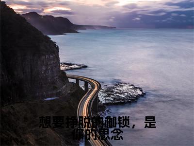 小说许沁冉全文免费阅读无弹窗大结局_想要挣脱的枷锁，是你的思念完整阅读