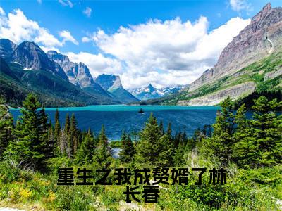重生之我成赘婿了林长春(林长春)全文免费阅读无弹窗大结局_(重生之我成赘婿了林长春)最新章节列表_林长春