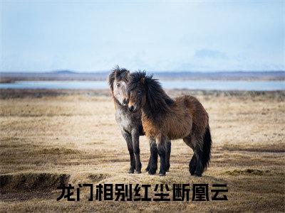 （龙门相别红尘断凰云）全文免费阅读无弹窗大结局_（龙隐凰云）章节列表_笔趣阁