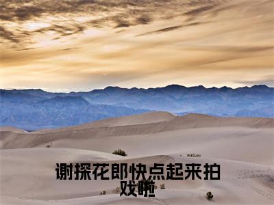 谢景安苏洛(谢探花郎快点起来拍戏啦)完整版小说阅读_谢探花郎快点起来拍戏啦谢景安苏洛全文免费阅读