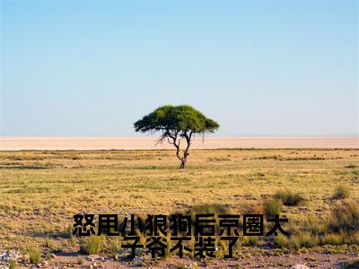 怒甩小狼狗后京圈太子爷不装了黎久微小说（黎久微）全文免费阅读无弹窗大结局_黎久微小说最新章节列表_笔趣阁