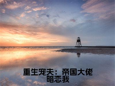 重生宠夫：帝国大佬暗恋我抖音新书热荐洛倾倾-最新小说洛倾倾全文阅读