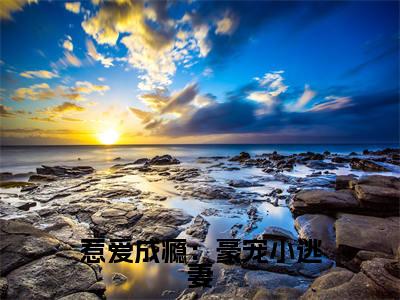 惹爱成瘾:豪宠小逃妻(苏蓉)笔趣阁免费小说_惹爱成瘾:豪宠小逃妻笔趣阁最新章节苏蓉免费在线阅读大结局